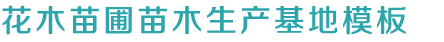 凯发88娱乐网址